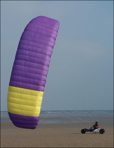 More information about "Sky Kites Predator 3"